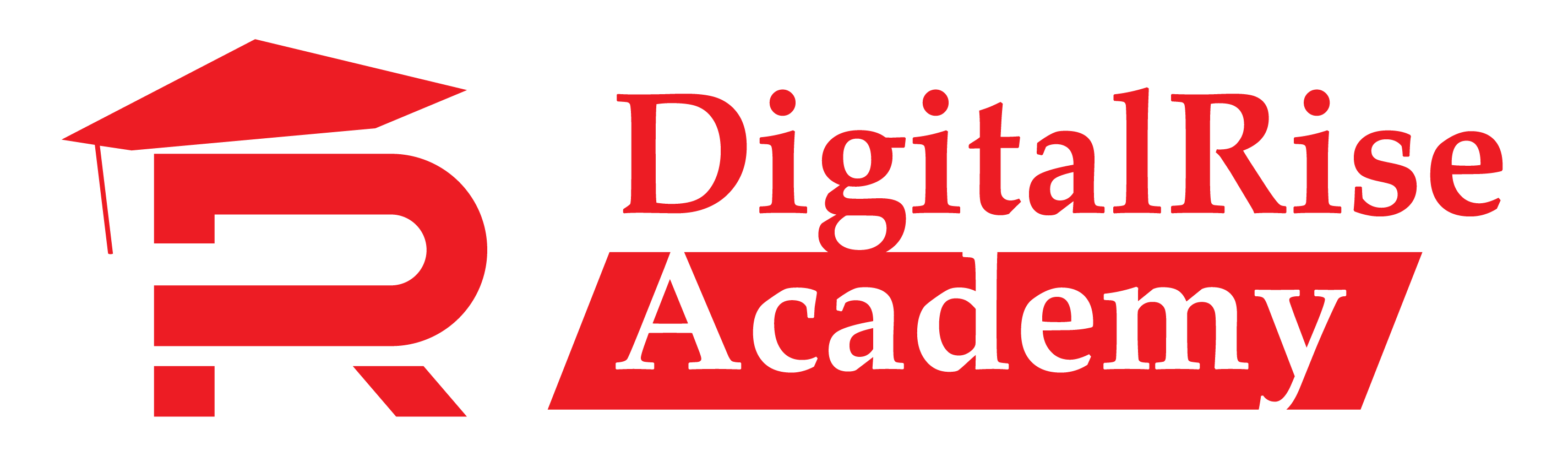 DigitalRise Academy